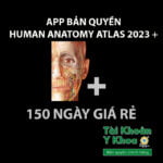 App giải phẫu Human anatomy atlas 2023 +