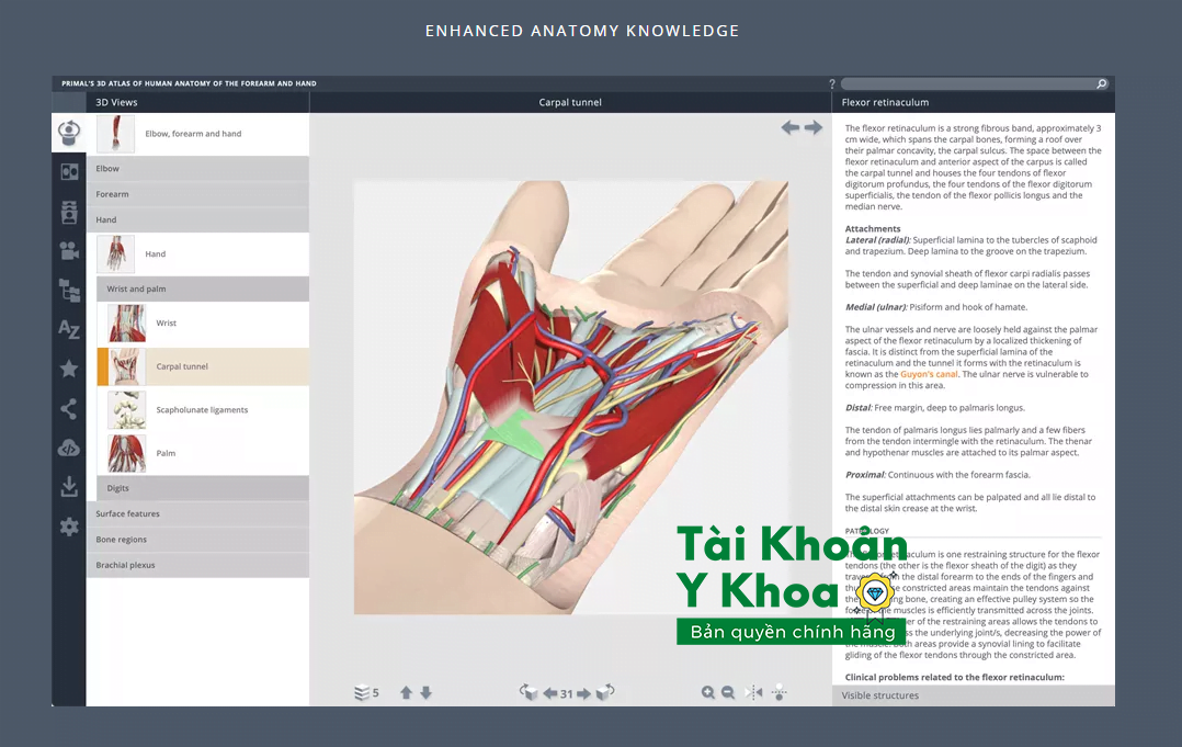 Cách vào Anatomy.TV miễn phí 2022 2 anatomy.tv free access