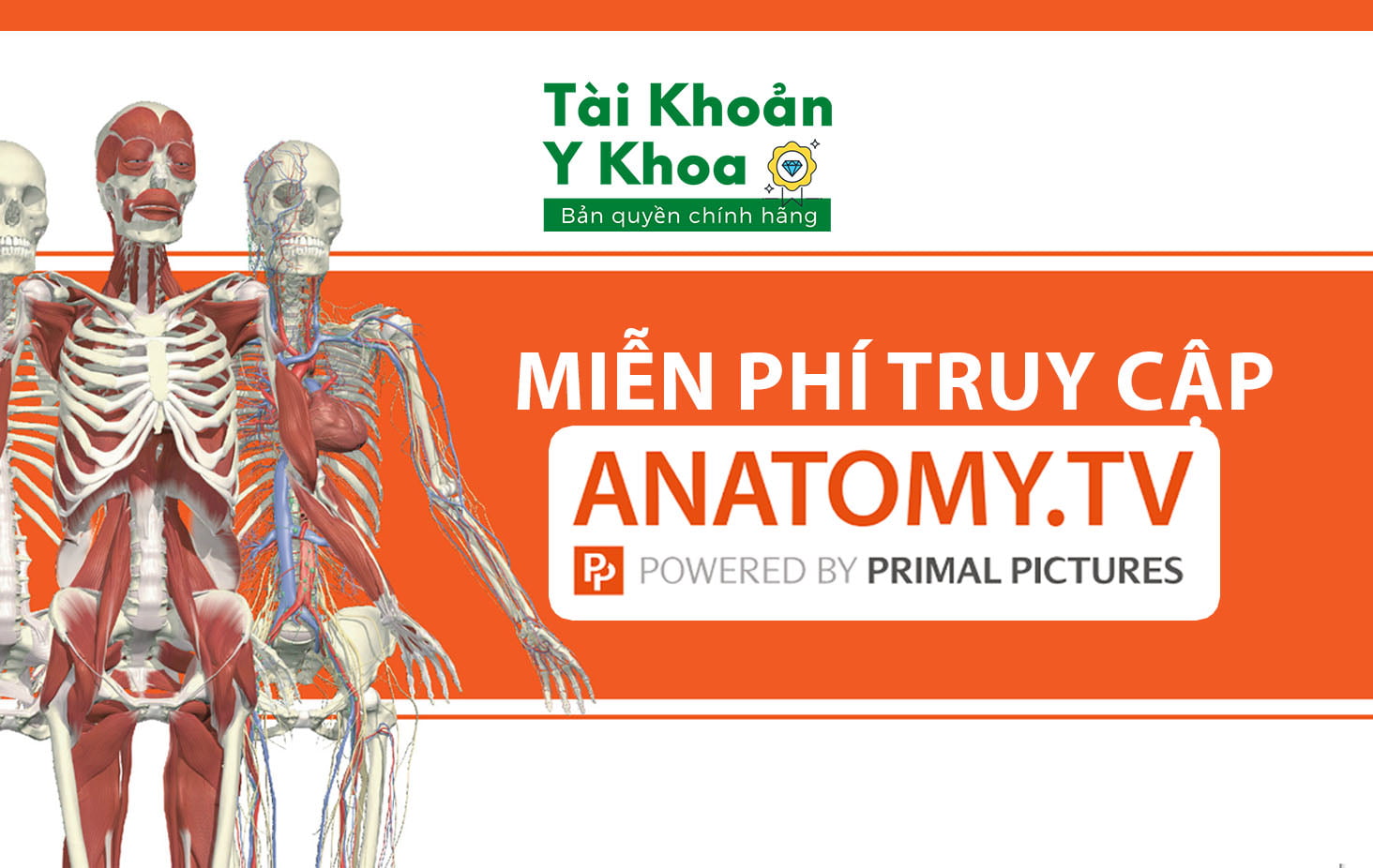 Cách vào Anatomy.Tv miễn phí